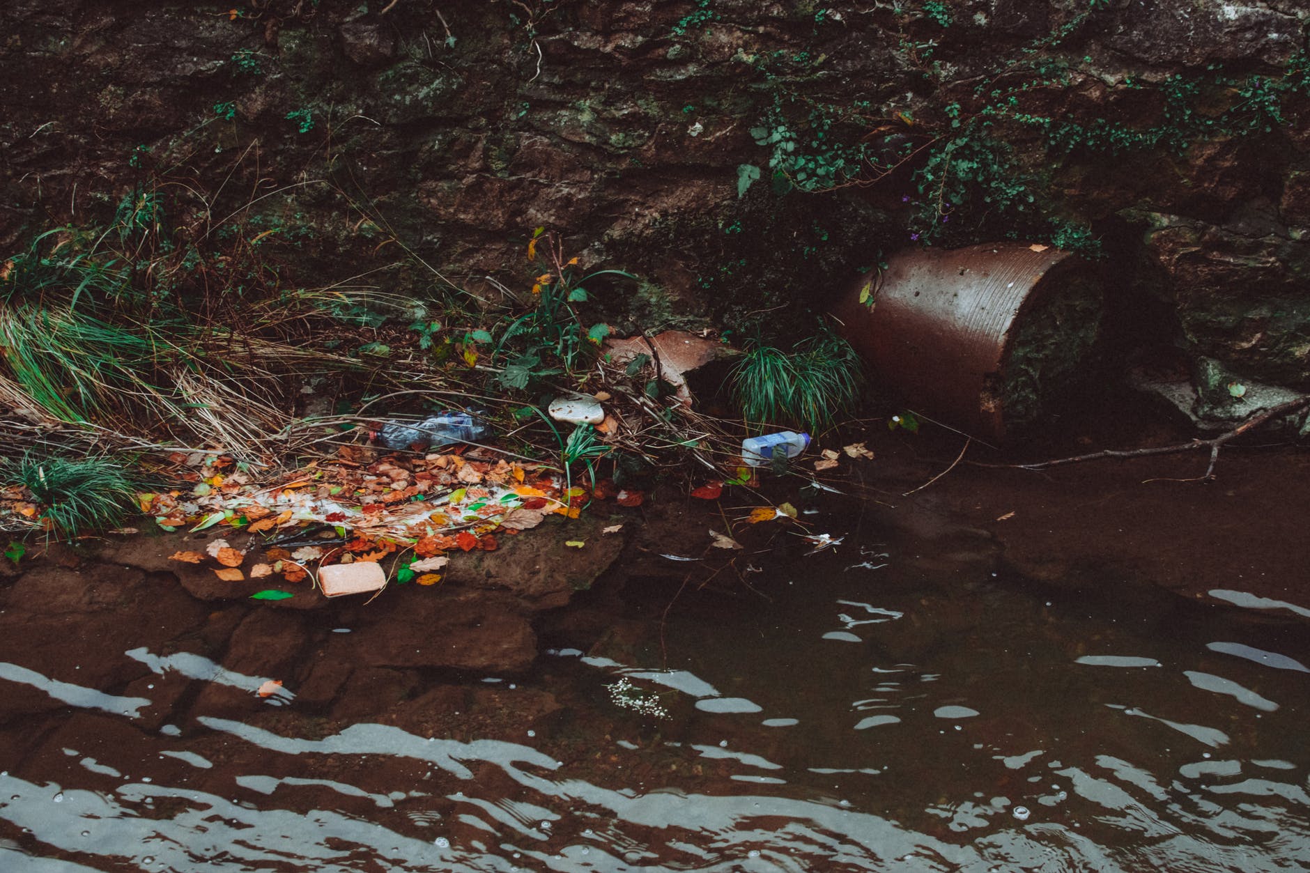 trash on body of water